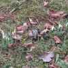 img_2972_4_1_000.jpg