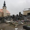 Na pokopališču v Črnomlju