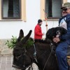 img_6496_000.jpg