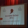 kulturni_zivzav___11.jpg