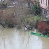 n_arasla_krka09.jpg