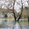 img_7139_000.jpg