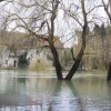 img_7139_000.jpg