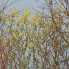 20160221_160406_001.jpg