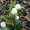 20160221_152658.jpg