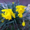 20160221_160859_001.jpg