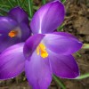 20160221_150915_001.jpg