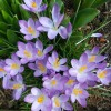 20160221_150819_001.jpg