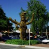 tokoroa.jpg
