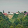 zidanice_lapego.jpg
