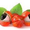 guarana.jpg