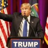 donald trump.jpg