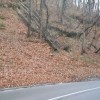 Trbovlje Zagorje, Slačnik
