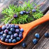 p_nasveti_svicarskega_naturopata4.jpg