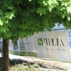 tilia_2011_bdg0101.jpg