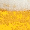 pivo