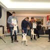 skocjan__041.jpg