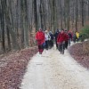 img_0761_000.jpg