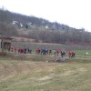 img_0730_000.jpg