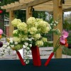 magnetic-vase-3.jpg