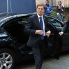 miro cerar.jpg