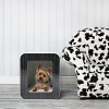 how-to-make-your-pet-comfortable-in-a-modern-home-kooldog-interview_kpa-o_4.jpg