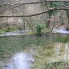 img_7856_000.jpg