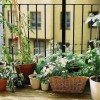 balkon.jpg