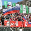 _planica__01_.jpg