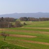 _3204513_000.jpg