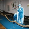 img_7753_000.jpg