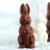 bunny-hop_thumb.jpg