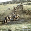 Falklandski otoki.jpg