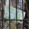 Ograje ob Kolpi  Mostovi na denarju in žica ob meji