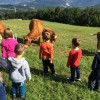 Dobovec vrtec metuljček.jpg
