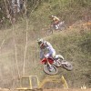 gajser_023.jpg
