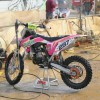 gajser_041.jpg