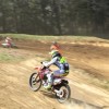 gajser_018.jpg