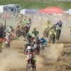 gajser_047.jpg
