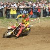 gajser_025.jpg