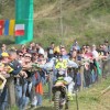 gajser_030.jpg