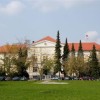 bolnisnica_brezice.jpg