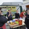 dobrodelni_koncert___24.jpg
