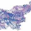 _image004__1_.jpg