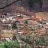 vrtički trbovlje.jpg