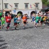 novomeski_tek074.jpg