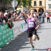 novomeski_tek033.jpg