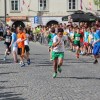 novomeski_tek077.jpg