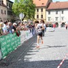 novomeski_tek034.jpg