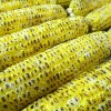 corn-142206_1920.jpg